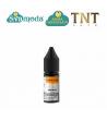 TNT VAPE TWENTY ONE ORIENTAL AROMA CONCENTRATO 10ML