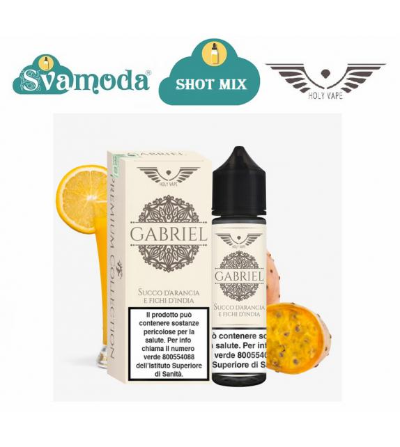 HOLY VAPE PREMIUM GABRIEL SHOT MIX 20ML