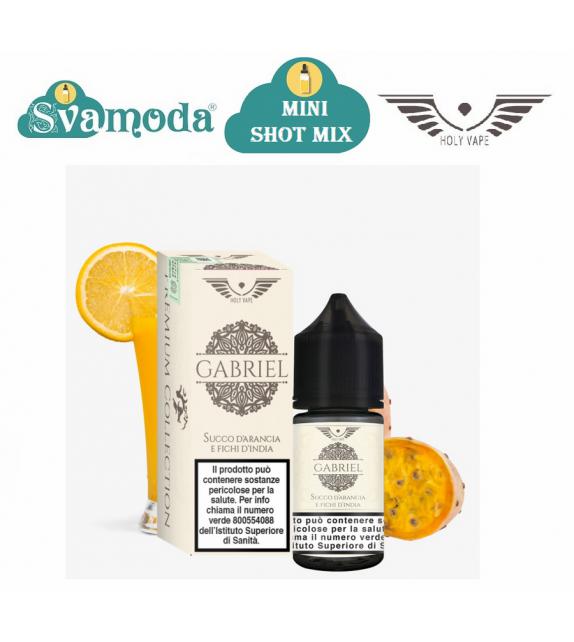 HOLY VAPE PREMIUM GABRIEL MINI SHOT MIX 10ML +20