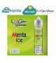 CYBER FLAVOUR MENTA ICE SHOT MIX 20ML