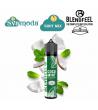 BLENDFEEL PIANETA MENTA COCO MINT SHOT MIX 20ML
