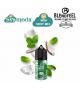 BLENDFEEL PIANETA MENTA COCO MINT MINI SHOT MIX 10ML +20