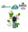 BLENDFEEL PIANETA MENTA COCO MINT MINI SHOT MIX 10ML +20
