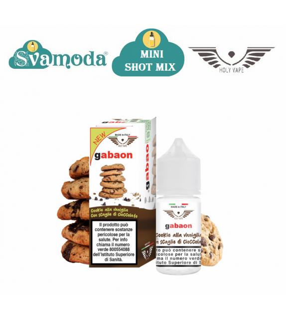 HOLY VAPE CREAM GABAON MINI SHOT MIX 10ML +20