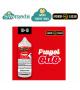 FASHION VAPE FRAGOLOTTO MINI SHOT MIX 10ML