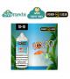 FASHION VAPE COCCO MINI SHOT MIX 10ML
