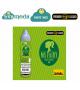 FASHION VAPE MS FAIRY SHOT MIX 20ML