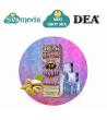 DEA SKOMPOSTO 10+ BRONTE MINI SHOT MIX 10ML +20