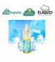 ELIQUID FRANCE FRUIZEE ICEE MINT AROMA CONCENTRATO 10ML
