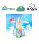 ELIQUID FRANCE FRUIZEE SUMMER BEACH AROMA CONCENTRATO 10ML