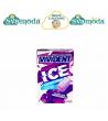 VIVIDENT ICE GRAPE
