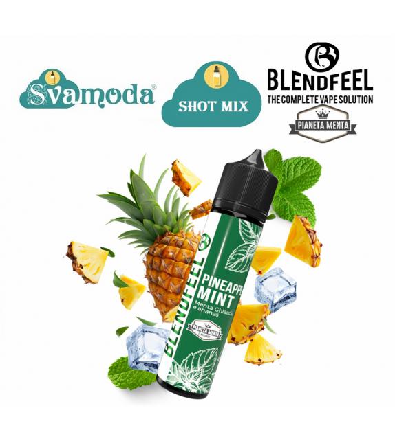 BLENDFEEL PIANETA MENTA PINEAPPLE MINT SHOT MIX 20ML