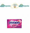 VIVIDENT VIBES SOURBERRY