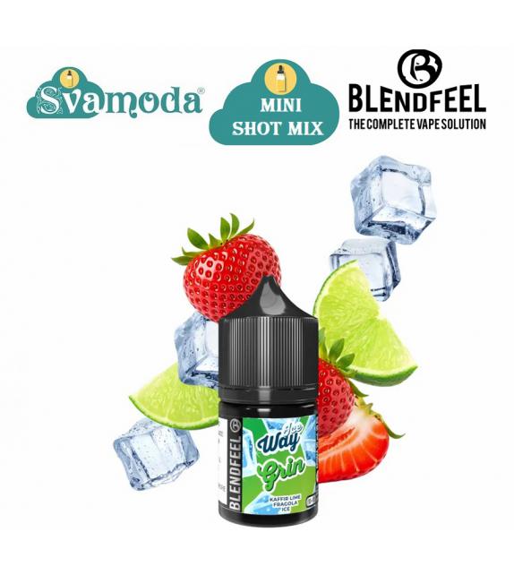 BLENDFEEL ICE WAY GRIN MINI SHOT MIX 10ML+10
