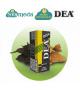 DEA FLAVOR DIY MEXICO AROMA CONCENTRATO 10ML