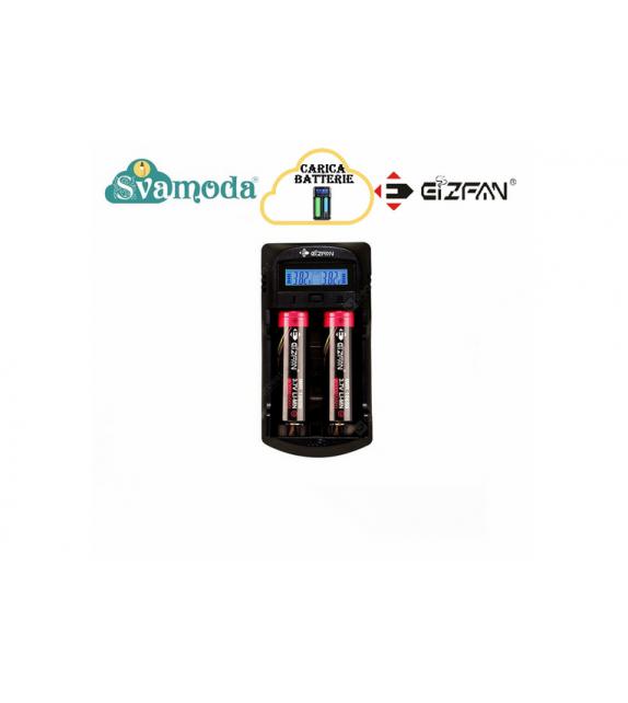 EIZFAN WF1 LCD CARICABATTERIE