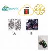 DOTMOD COVER DOTAIO