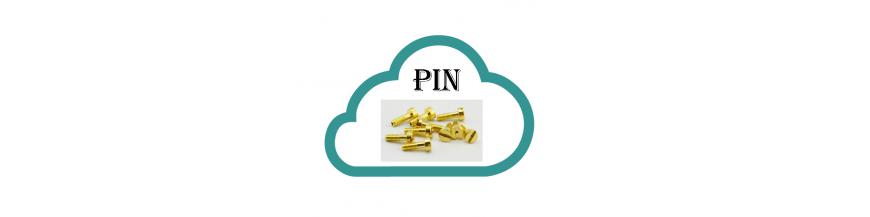 PIN